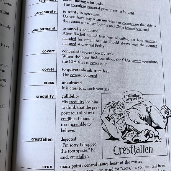 Up Your Score 2001-2002: The Underground Guide to the SAT - Picture 7 of 7
